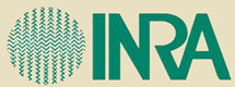 INRA