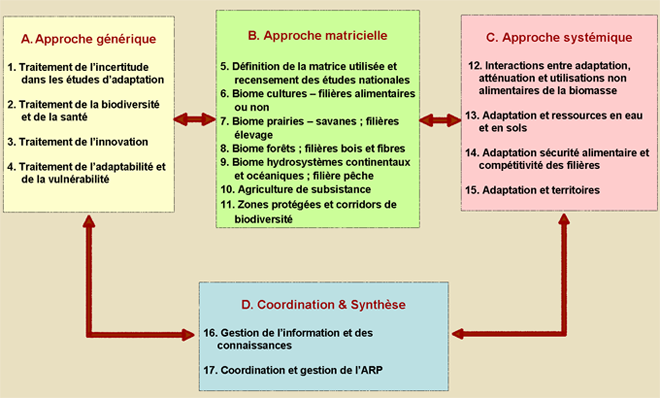 structure-du-projet